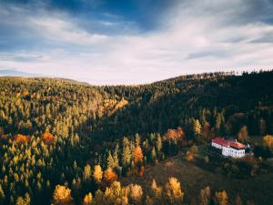 Príroda v okolí hotela