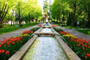 Zahrada ubytování Villa Rosa Bad Camberg