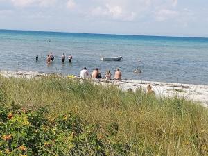a group of people in the water at the beach at 8 person holiday home in Glesborg in Glesborg
