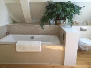 a bath tub in a bathroom with a toilet and plants at Park House in Budleigh Salterton