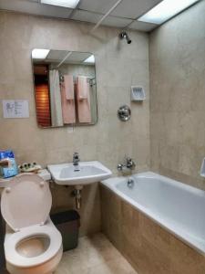 a bathroom with a toilet and a sink and a tub at Terrace Hotel in Bandar Seri Begawan