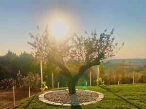 A garden outside Nikolaier Weinblick - Chalet Sauvignon Blanc