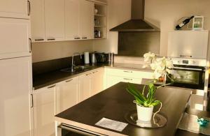 A kitchen or kitchenette at Nikolaier Weinblick - Chalet Sauvignon Blanc