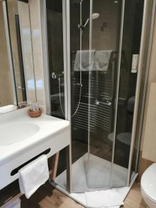 a bathroom with a shower and a sink and a toilet at Land-gut Hotel zur Brücke garni in Drolshagen