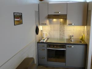 Kuchyň nebo kuchyňský kout v ubytování Alpenappartement Claudia