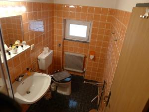 Koupelna v ubytování Alpenappartement Claudia