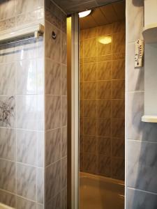 a shower with a glass door in a bathroom at "Elbparadies" Ferienhaus am Niegripper See mit Pool in Burg bei Magdeburg