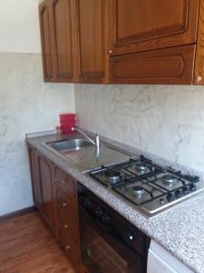 a kitchen with a stove and a sink at RESIDENZA VALLE VIGEZZO in Santa Maria Maggiore