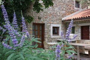 Vonkajšia záhrada v ubytovaní STONE HOUSE reTREAT