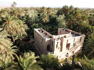 an aerial view of a house in the middle of palm trees at L'Ma Lodge in Skoura