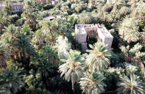 an aerial view of a building surrounded by palm trees at L'Ma Lodge in Skoura