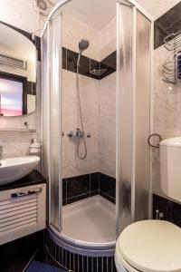 a bathroom with a shower and a toilet and a sink at Villa Eva in Rudine