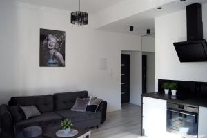 Kuchyňa alebo kuchynka v ubytovaní Black & White Apartament