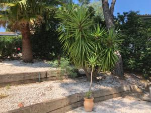 Zahrada ubytování Saint tropez -parc oasis