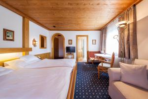 TV a/nebo společenská místnost v ubytování Hotel Alpina
