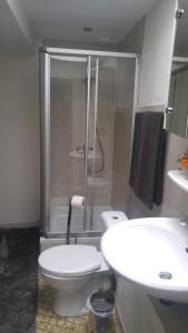 a bathroom with a toilet and a shower and a sink at Ferienhaus Congolo in Lontzen