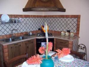 uma cozinha com uma mesa com um lavatório e um fogão em Villa Laura em Coccorino