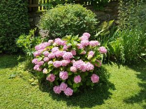 A garden outside Haus Alpenglühn