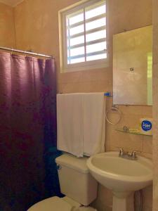 ein Bad mit einem WC, einem Waschbecken und einem Fenster in der Unterkunft Tio Pepe’s Guest House in Aibonito