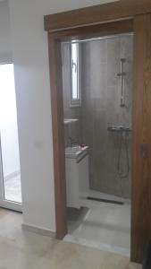 a bathroom with a shower and a sink at Appartement à La Marsa in Tunis +31 photos