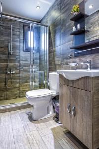 La salle de bains est pourvue de toilettes, d'une douche et d'un lavabo. dans l'établissement Ξενώνας Γούσιας, à Ioannina