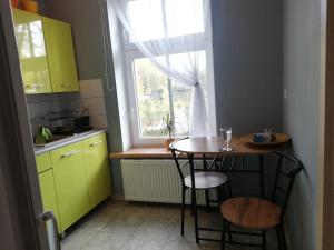 Kuchyňa alebo kuchynka v ubytovaní Apartament Nectar Pond