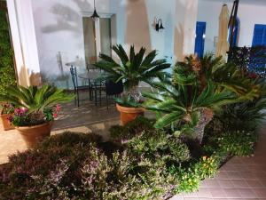 a bunch of plants in pots in a room at Villa Loreta in Ischia