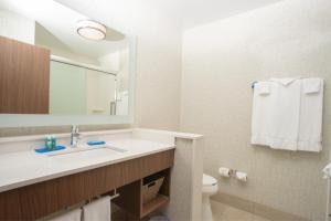 a bathroom with a sink and a toilet and a mirror at Holiday Inn Express Houghton-Keweenaw, an IHG Hotel in Houghton