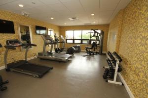 مركز اللياقة و/أو مرافق اللياقة في Holiday Inn Express Janesville-I-90 & US Highway 14, an IHG Hotel