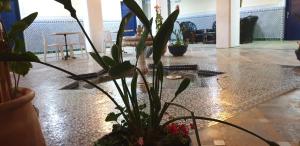 Fotografie z fotogalerie ubytování Hotel Batha v destinaci Fès