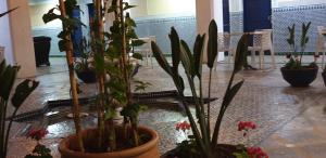 Zahrada ubytování Hotel Batha