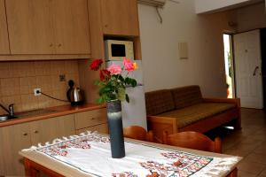Kuchyň nebo kuchyňský kout v ubytování Evilion hotel