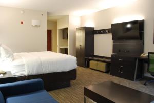 En TV eller et underholdningssystem på Holiday Inn Express Hotel & Suites Kingsport-Meadowview I-26, an IHG Hotel