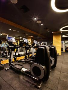Fitness centrum a/nebo fitness zařízení v ubytování Holiday Inn Istanbul - Kadikoy by IHG