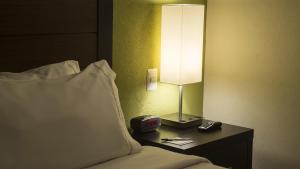 Postel nebo postele na pokoji v ubytování Holiday Inn Express Xalapa by IHG