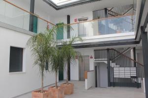um corredor com duas palmeiras e uma escada em Apartamento Iceberg Tarifa Parking gratuito em Tarifa