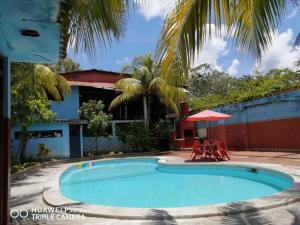 a swimming pool in front of a house at Poseidon Guest House in Iquitos