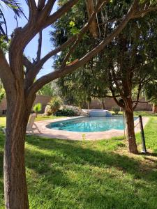 una piscina en un patio con árboles en Shangri la en Mendoza