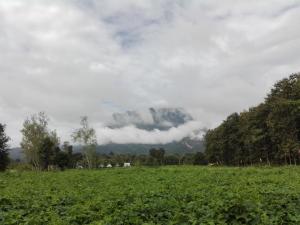un grand champ avec une montagne en arrière-plan dans l'établissement Dreamhome Chiangdao, à Chiang Dao