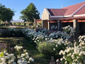 Zahrada ubytování Mountain View Country Guest House