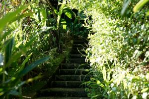 Zahrada ubytování Villa SACHIIBARU 浜辺の茶屋 の 宿