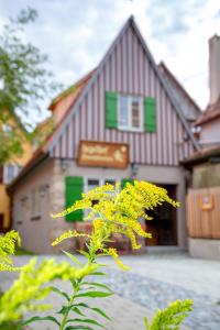 uma flor amarela em frente a um edifício em hezelhof´s Hexenhäuschen em Dinkelsbühl