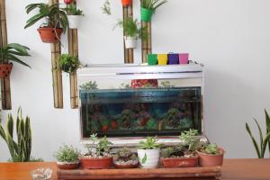 Gallery image of Mây Homestay in Liên Trì (3)