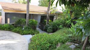 Zahrada ubytování 5* 3BR SUITE in Amari Phuket - Patong Beach