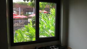 Zahrada ubytování 5* 3BR SUITE in Amari Phuket - Patong Beach