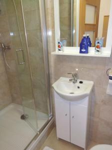 a bathroom with a shower and a sink at Hotel Vagónka in Studénka