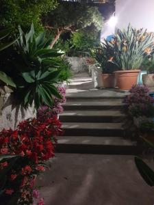 un sentiero con piante e fiori in un giardino di Villa Loreta a Ischia