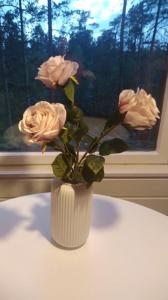 a white vase with pink roses in a window at Lemmenjoki Camping EcoCabins in Lemmenjoki