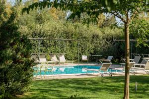 a swimming pool with chairs and a table and a tree at Wine Resort Ledà d'Ittiri in Alghero