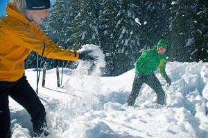 Skyview Chalets am Camping Toblacher See v zime